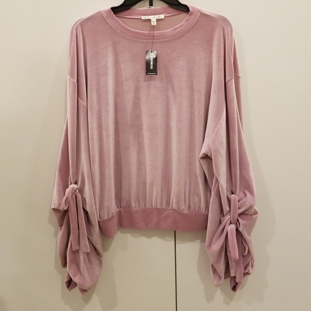 Express Velvet Ruched Sleeve Sweatshirt
